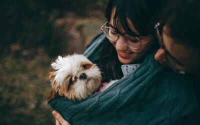 Choose the Right Puppy for Your Home